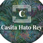 Casita Hato Rey